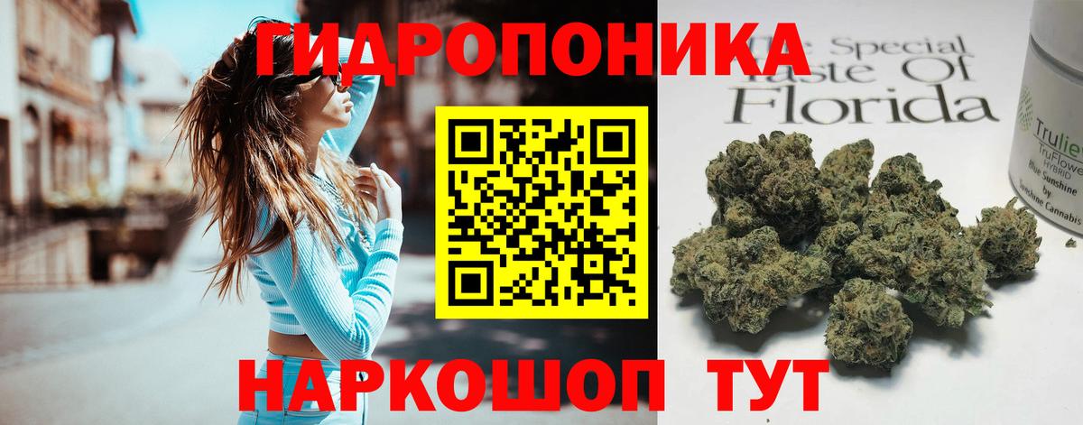Конопля планчик Кемерово